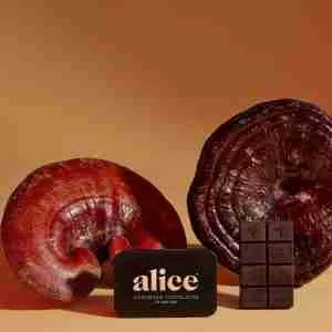 Alice Mushrooms NightCap - 4 Tins (64 Doses)