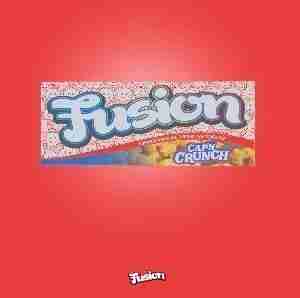 Capn Fusion Mushroom Chocolate