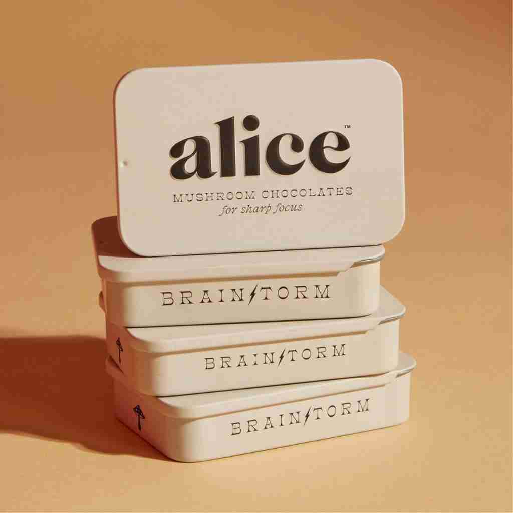 Alice Mushrooms - Brainstorm Chocolate For Sharp Focus